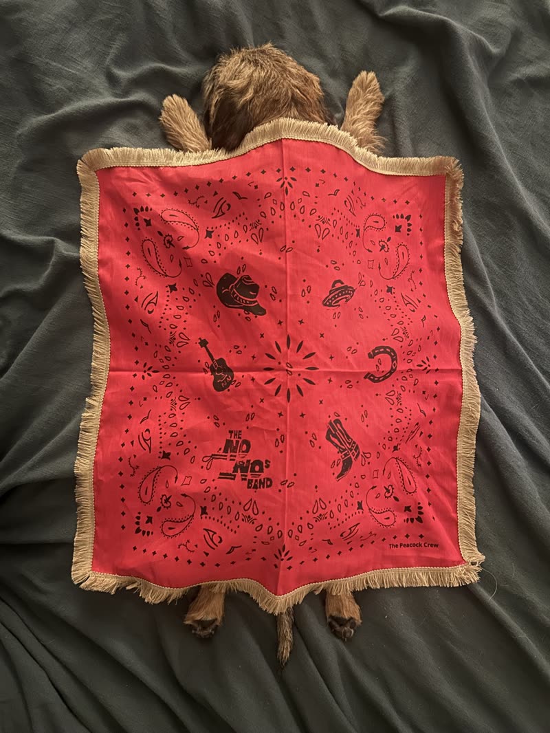 Bandana laid flat, full print